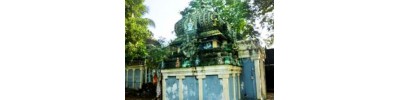 திருவாரூர் பிரகதீஸ்வரர்